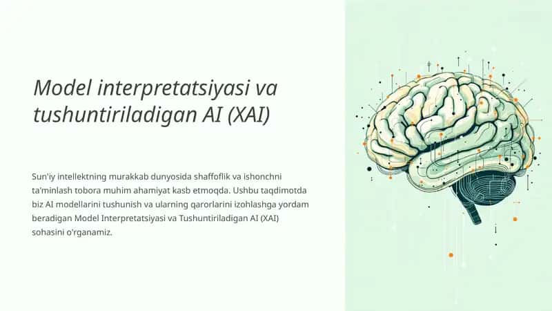 Model Interpretatsiyasi va Tushuntiriladigan AI (XAI) 1