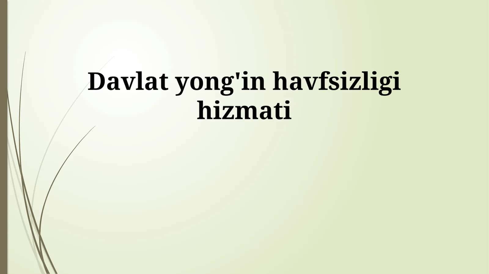 Davlat yong'in havfsizligi hizmati 1