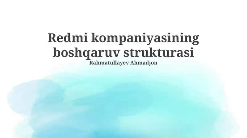 Redmi kompaniyasining boshqaruv strukturasi 1