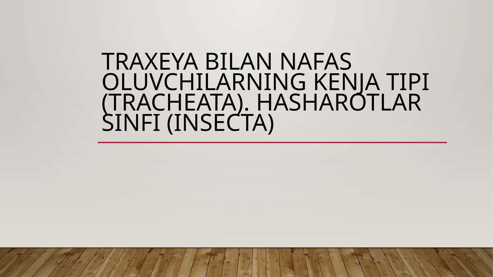 Traxeya bilan nafas oluvchilarning kenja tipi (tracheata). Hasharotlar sinfi (insecta) 1