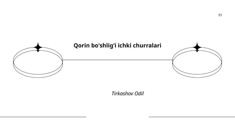 Qorin bo'shligʻi ichki churralari 1