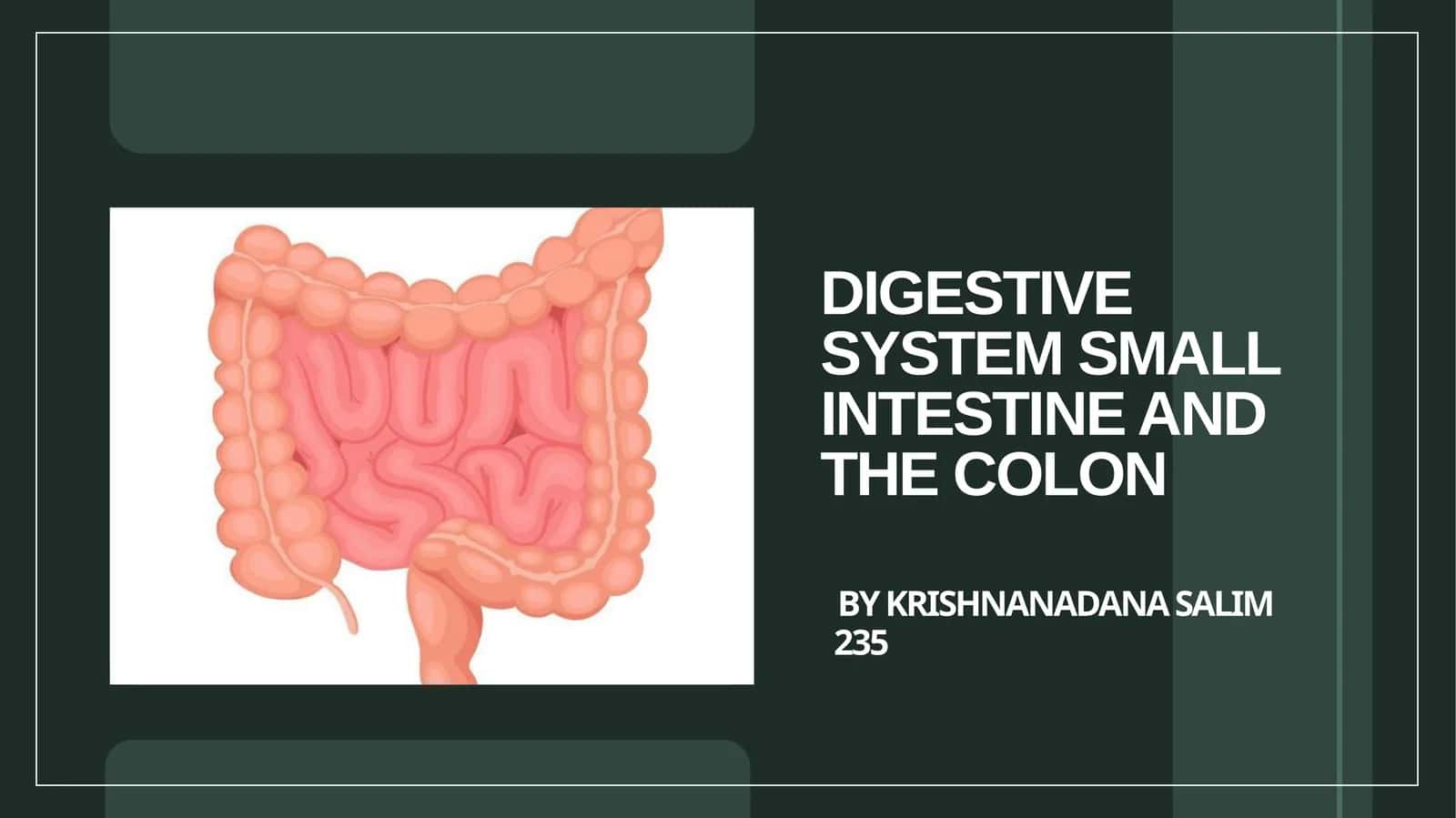 Introduction to the Digestive System 1