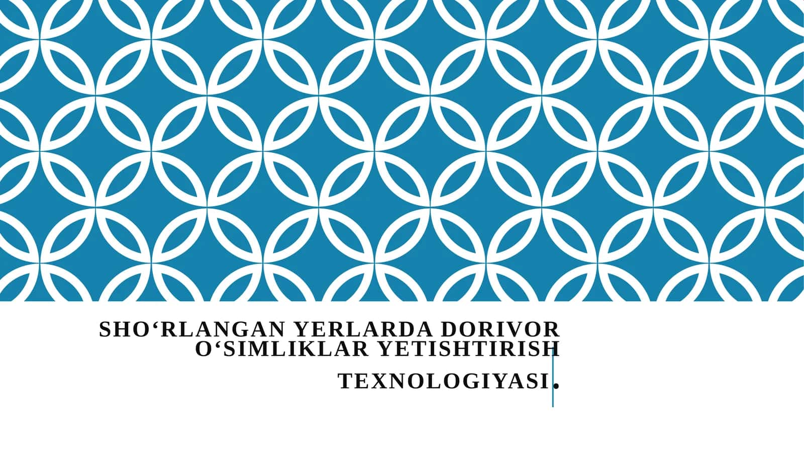 Sho'rlangan yerlarda dorivor o'simliklar yetishtirish texnalogiyasi 1