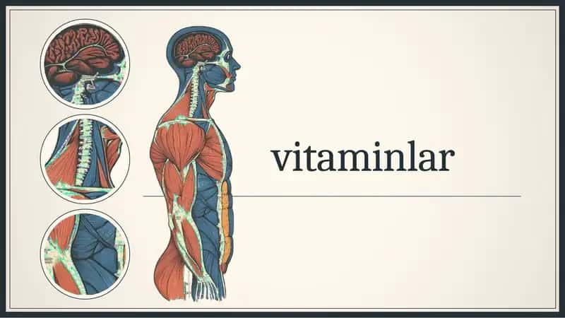 Vitaminlar 1