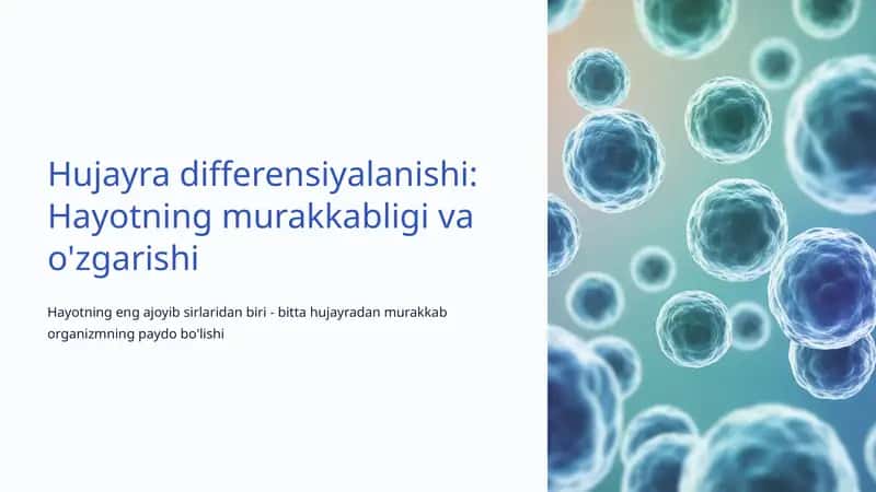 Hujayra differensiyalanishi 1