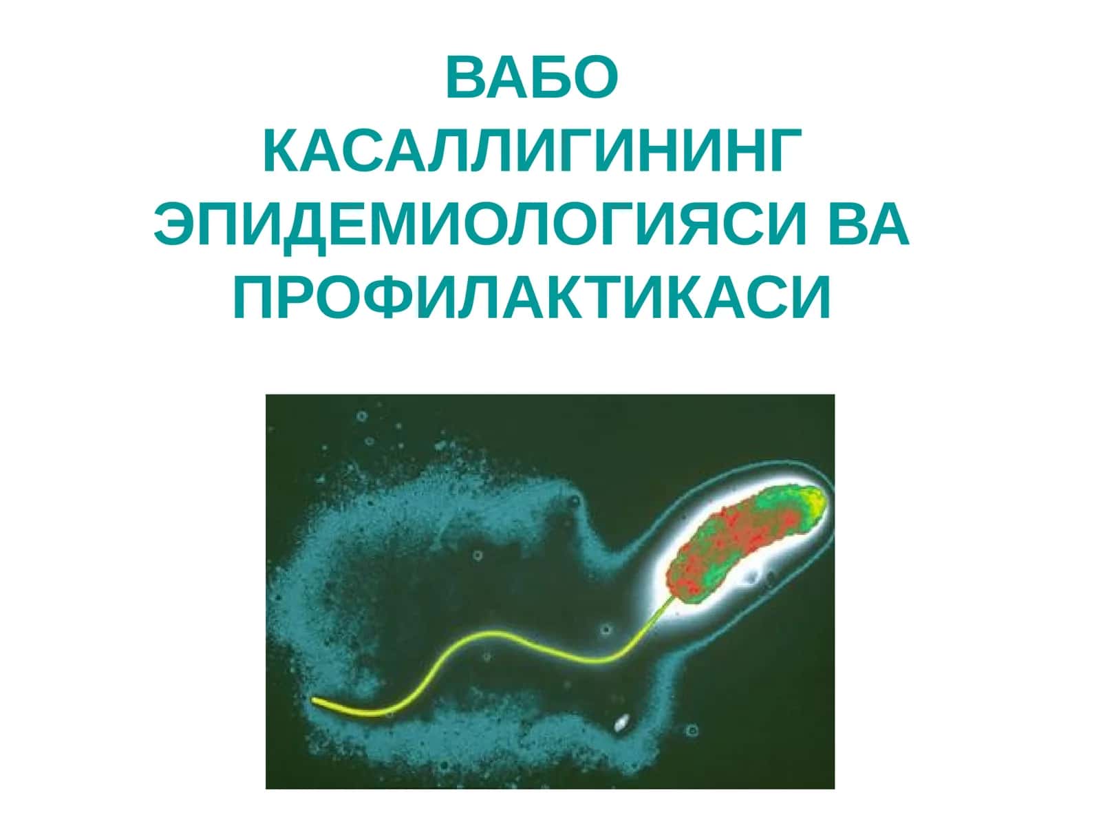 ВАБО КАСАЛЛИГИНИНГ ЭПИДЕМИОЛОГИЯСИ ВА ПРОФИЛАКТИКАСИ 1