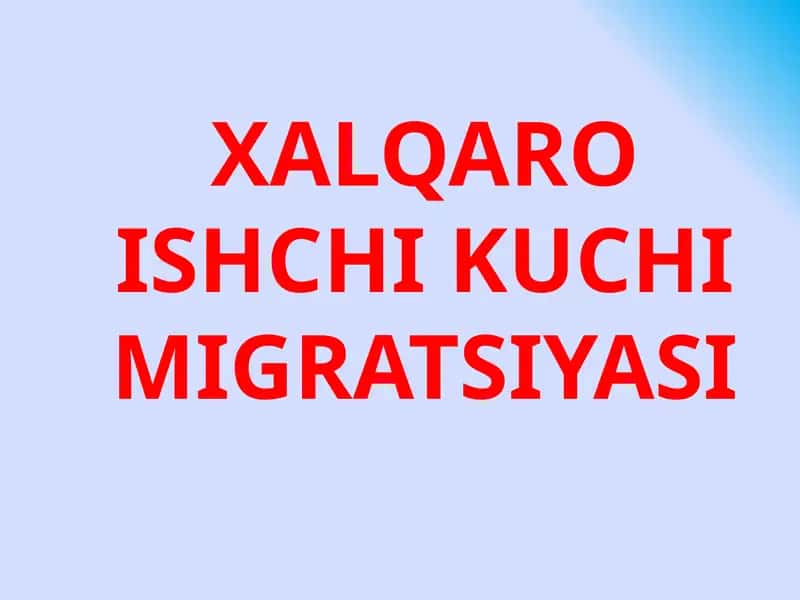 XALQARO ISHCHI KUCHI MIGRATSIYASI 1