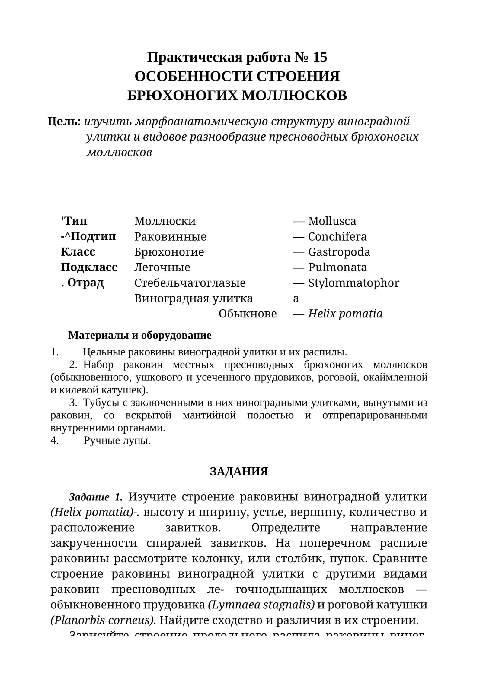ОСОБЕННОСТИ СТРОЕНИЯ БРЮХОНОГИХ МОЛЛЮСКОВ 1