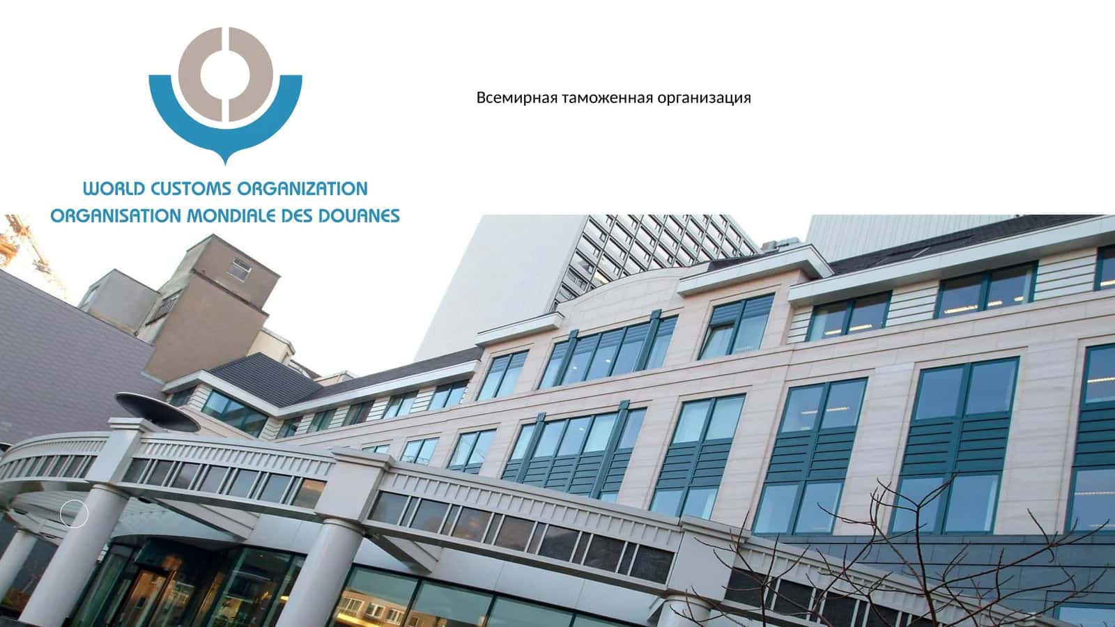 Всемирная таможенная организация 1