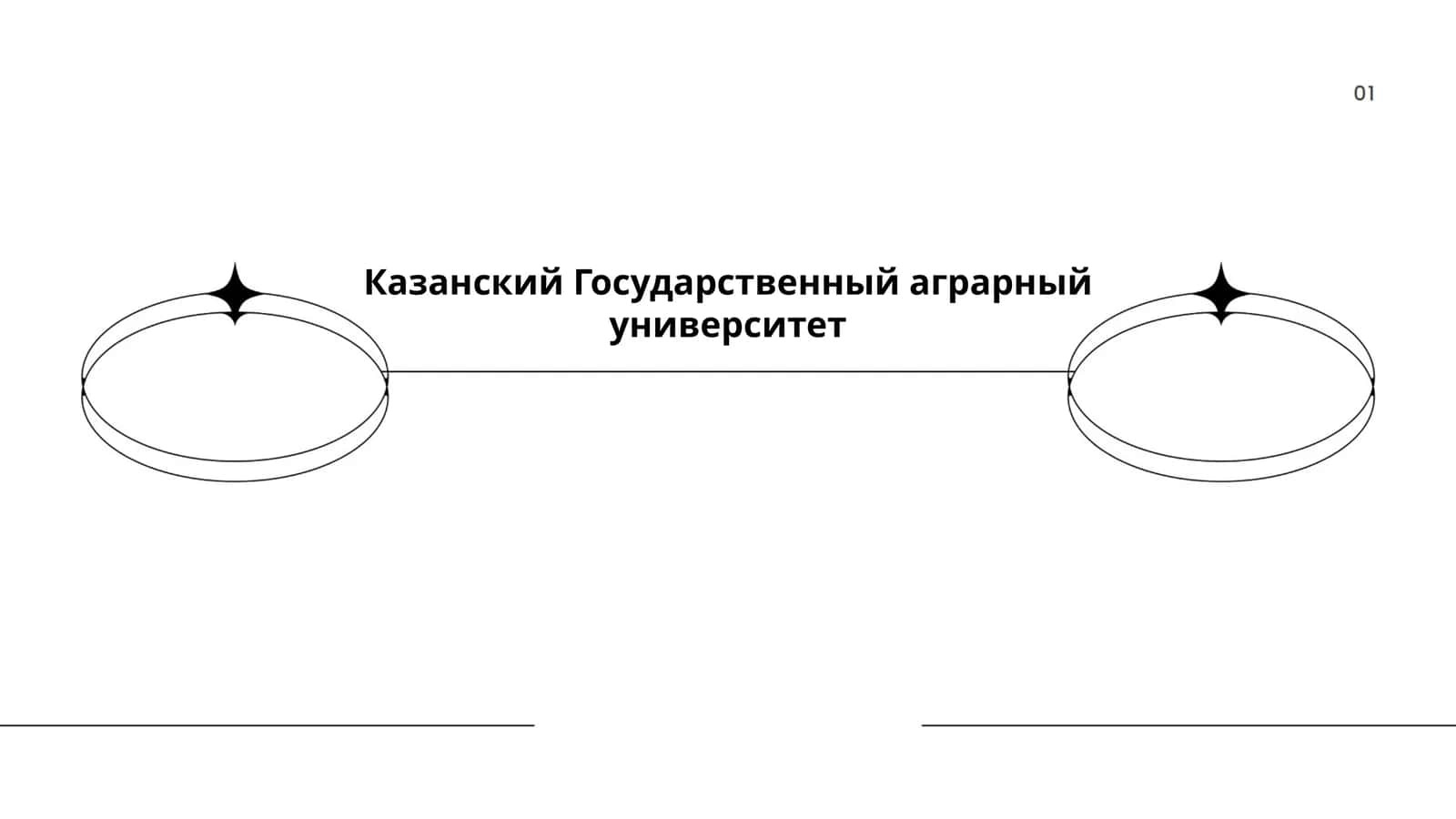 Казанский Государственный аграрный университет 1