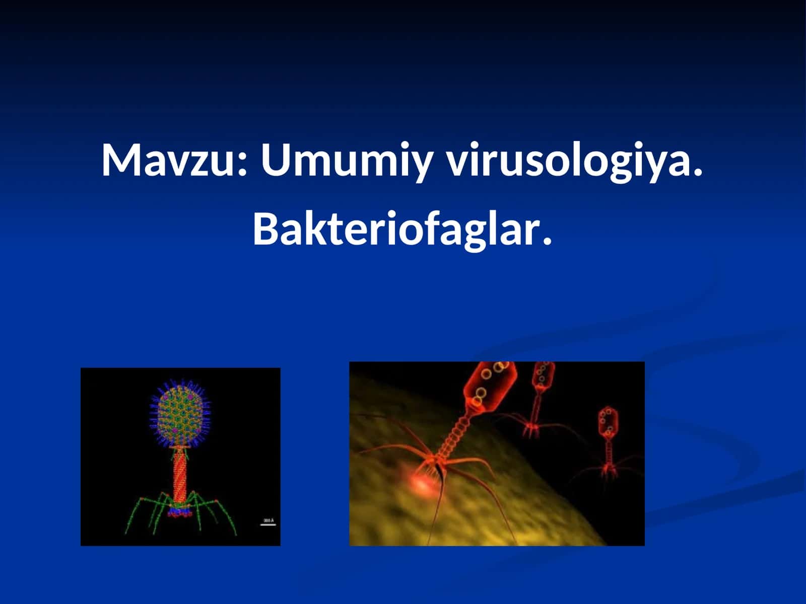 Umumiy virusologiya. Bakteriofaglar 1