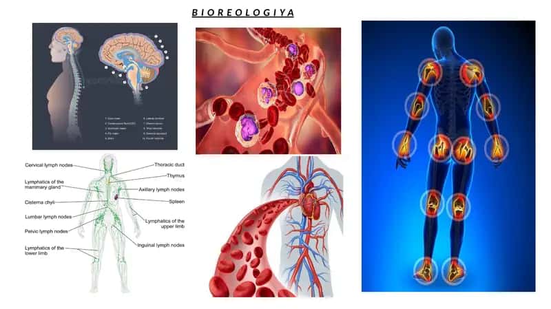BIOREOLOGIYA 1