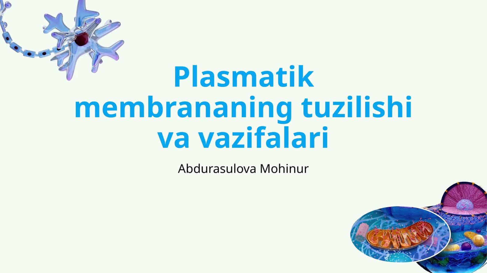 Plasmatik membrananing tuzilishi va vazifalari 1