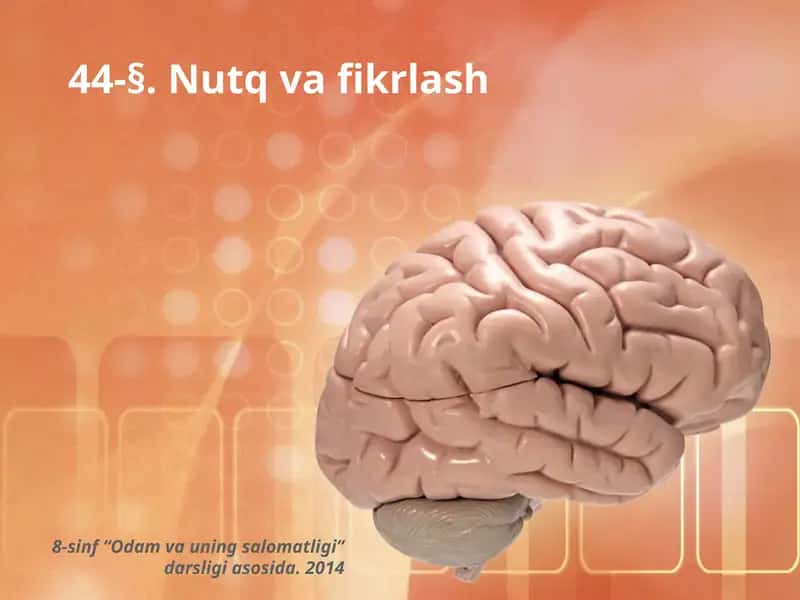 Nutq va Fikrlash 1