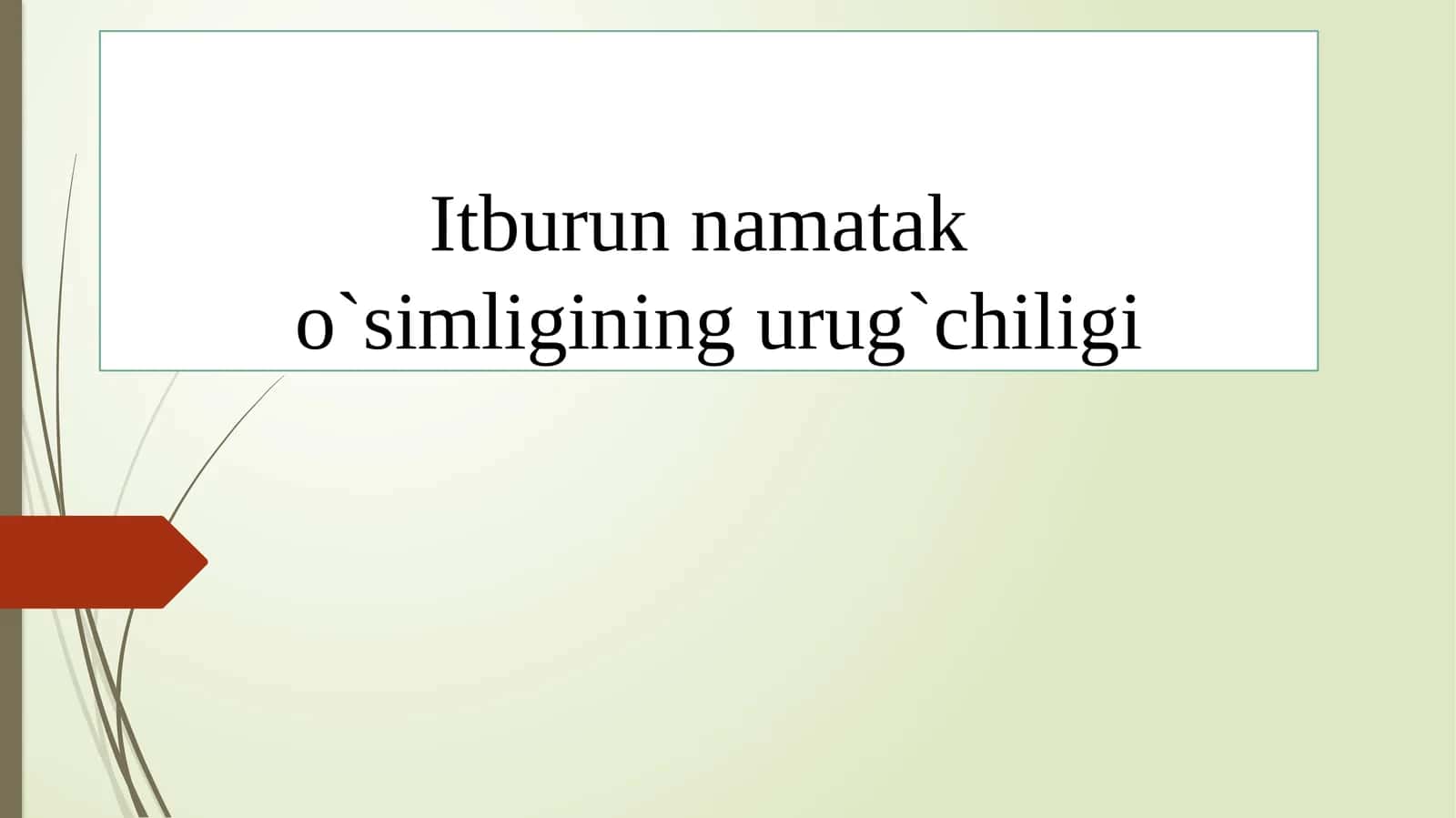Itburunnamata ko`simligining urg`chiligi 1