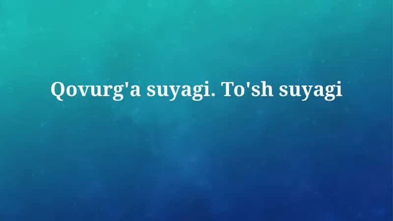 Qovurg'a suyagi.To'shsuyagi 1