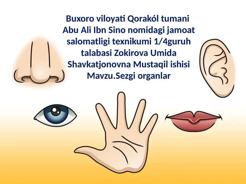 Abu Ali Ibn Sino nomidagi jamoat salomatligi texnikumi guruh talabasi Zokirova Umida Shavkatjonovna Mustaqilishisi 1