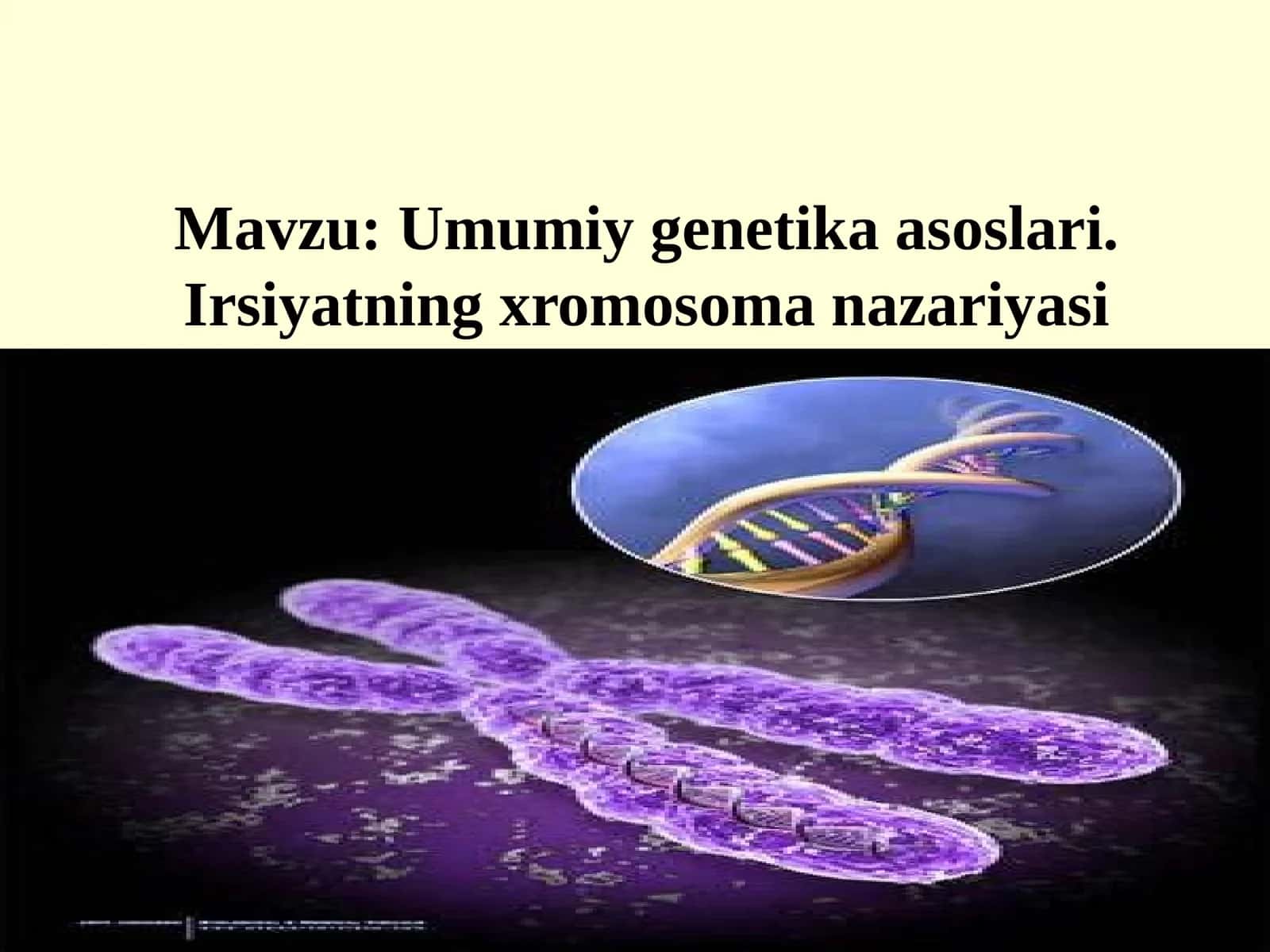 Umumiy genetika asoslari.Irsiyatning xromosoma nazariyasi 1