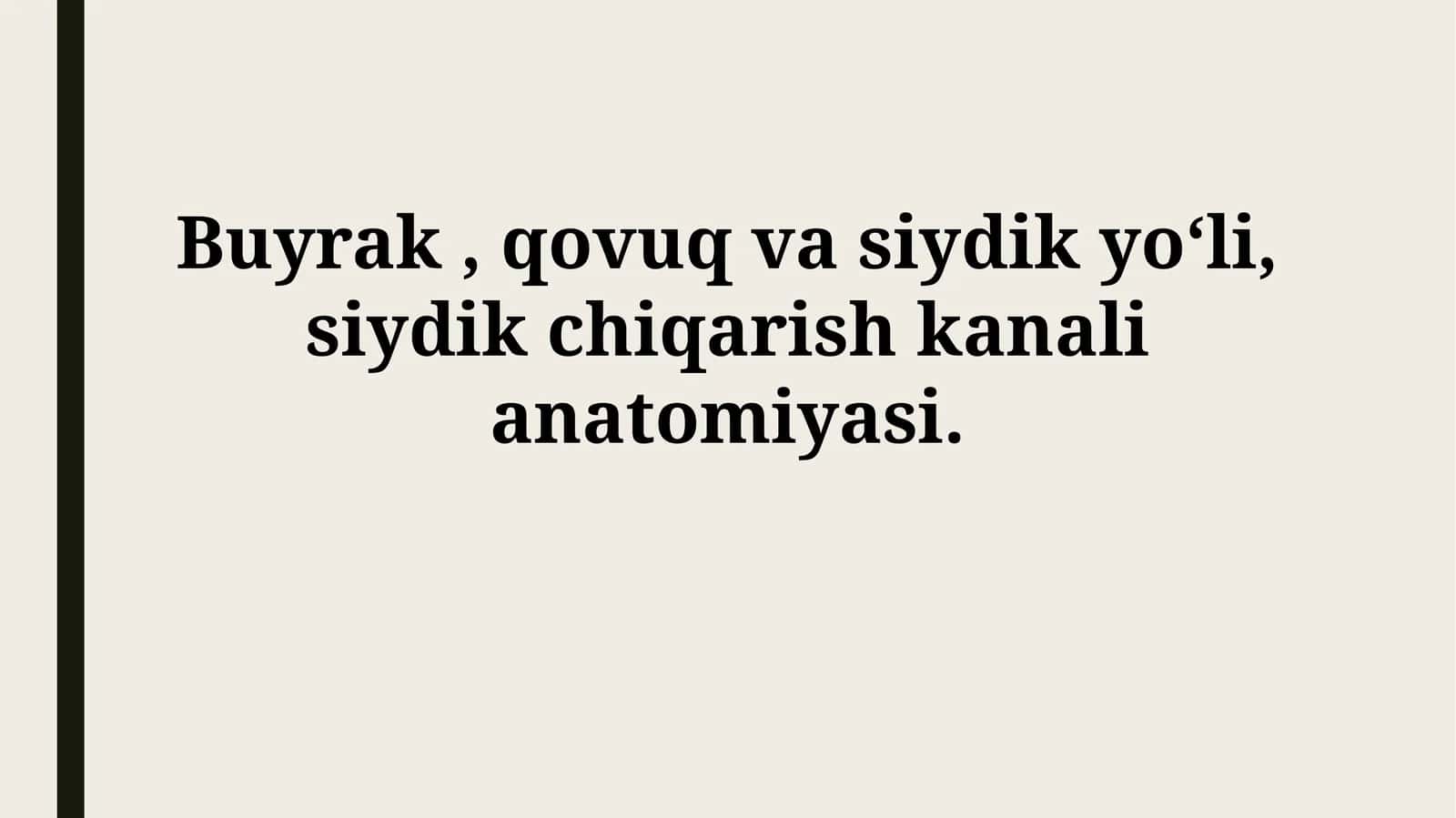 Buyrak, qovuq va siydik yoʻli, siydik chiqarish kanalianatomiyasi 1