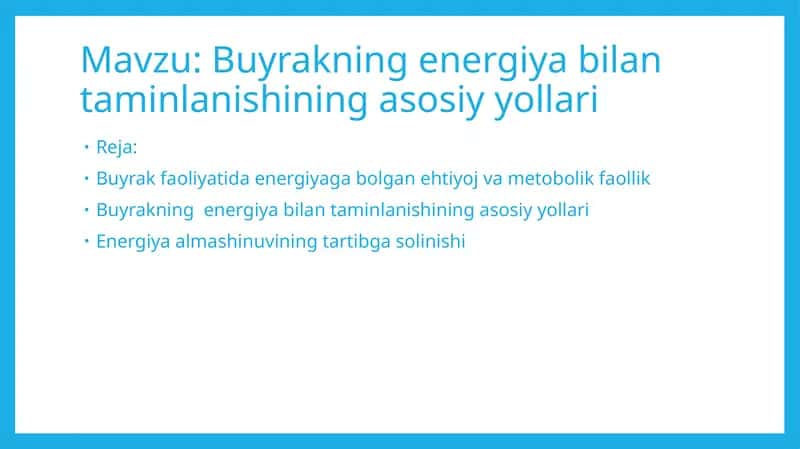 Buyrakning energiya bilan taminlanishining asosiy yollari 1