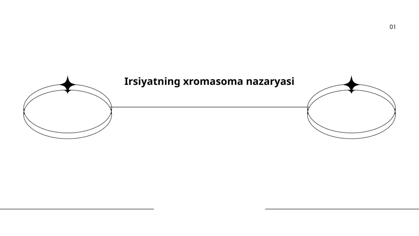 Irsiyatning xromasoma nazaryasi 1
