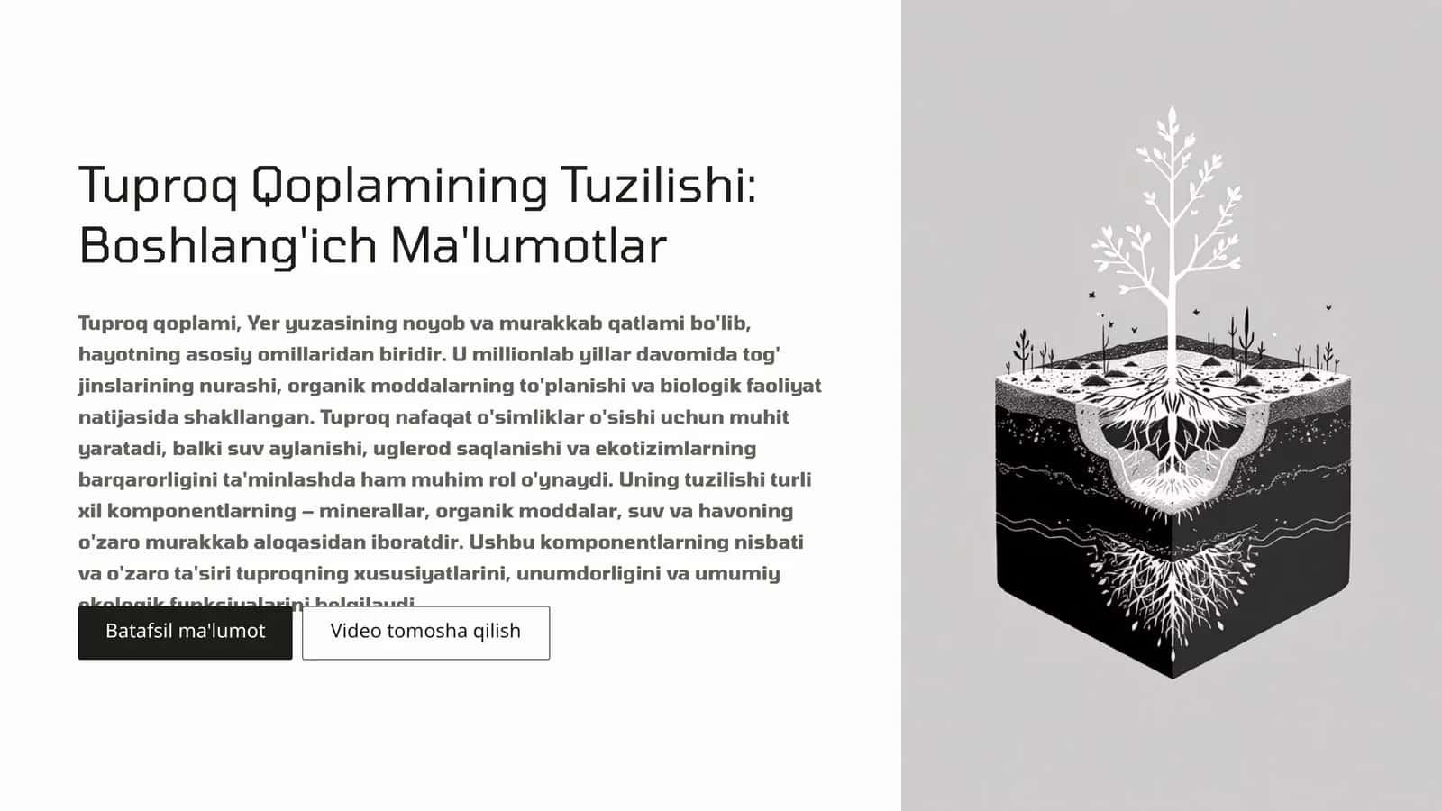 Tuproq qoplamining tuzilishi 1
