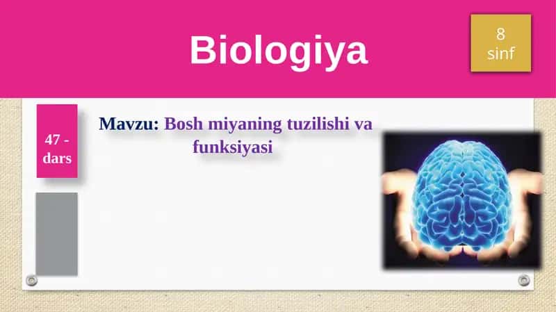 Boshmiyaningtuzilishivafunksiyasi 1