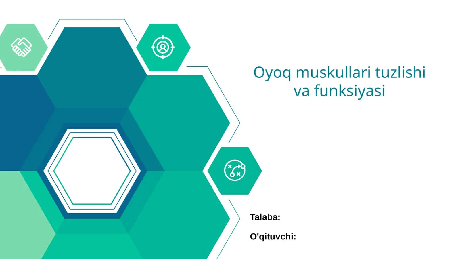 Oyoq Muskullari Tuzlishi va Funksiyasi 1