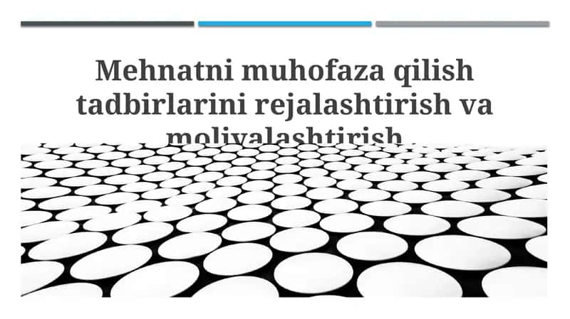 Mehnatni muhofaza qilish tadbirlarini rejalashtirish va moliyalashtirish 1
