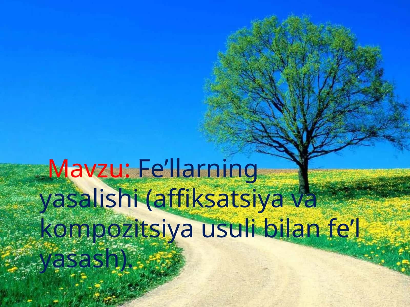 4-sinf Ona tili dars ishlanma. Fe'llarning yasalishi. Affiksatsiya va kompozitsiya usuli 1
