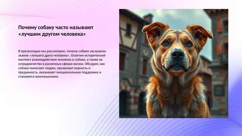 Почему собаку часто называют «лучшим другом человека» 1