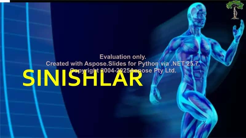 Sinishlar 1