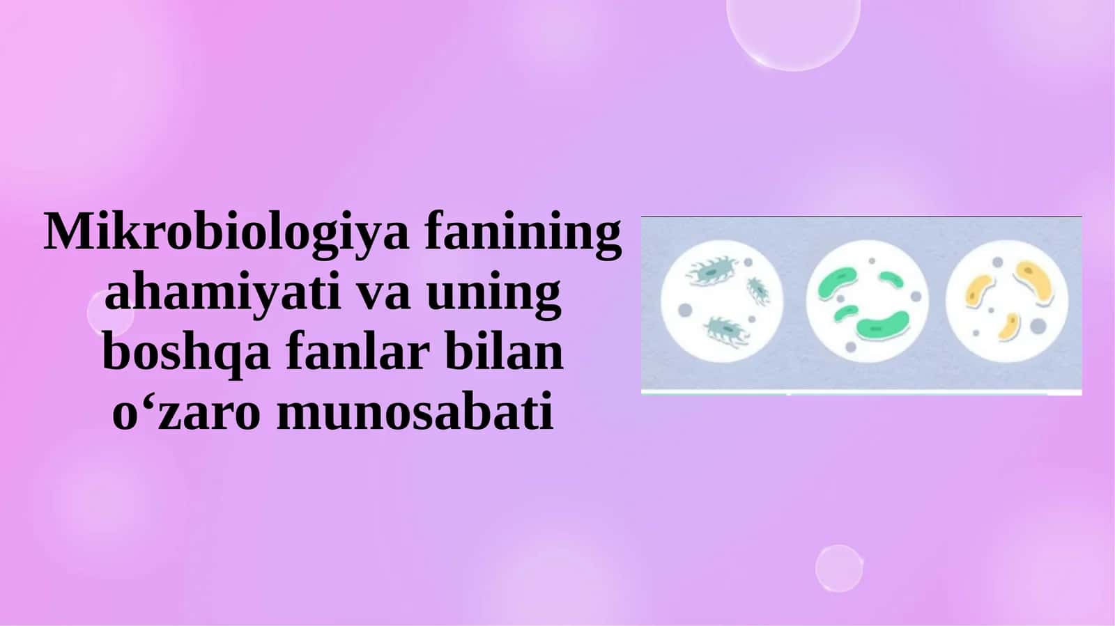 Mikrobiologiya fanining ahamiyati va uning boshqa fanlar bilan o‘zaro munosabati 1