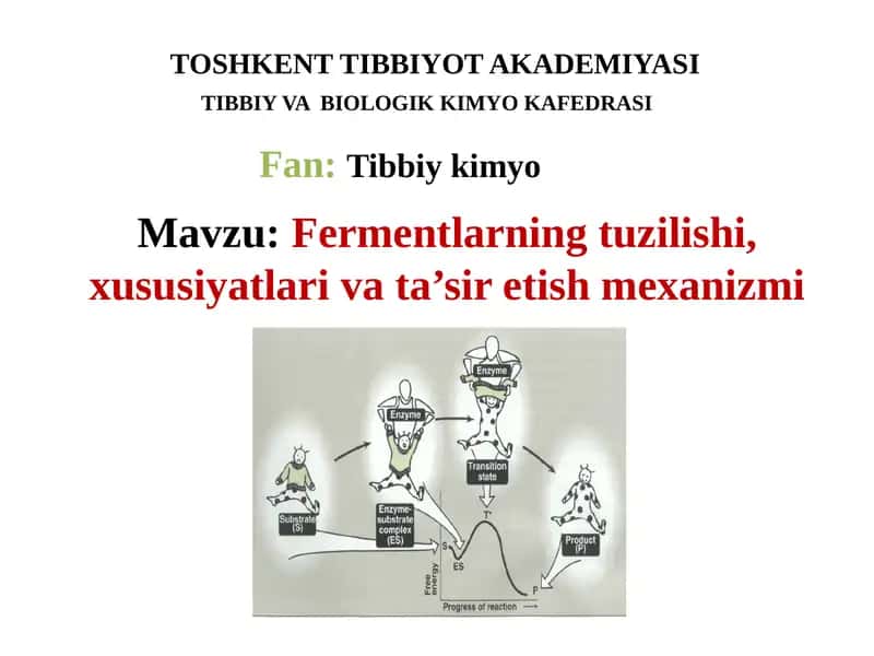 Fermentlarning tuzilishi, xususiyatlari va ta’siretish mexanizmi 1