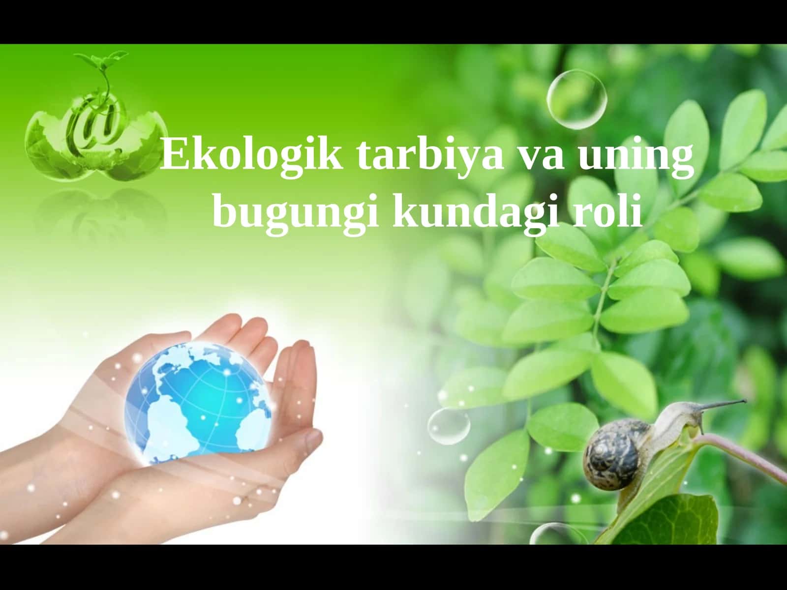 Ekologik tarbiya va uning bugungi kundagi roli 1