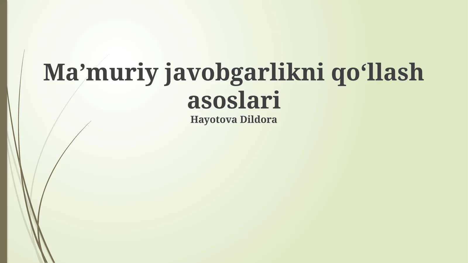Ma’muriy javobgarlikni qo‘llash asoslari 1