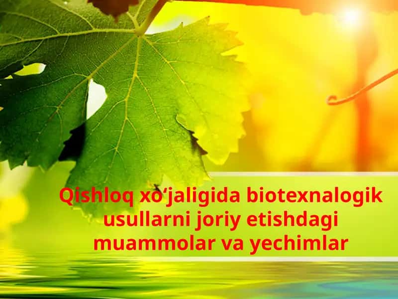 Qishloqxo‘jalik biotexnologiyasi 1