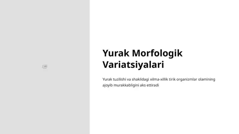 Yurak Morfologik Variatsiyalari 1