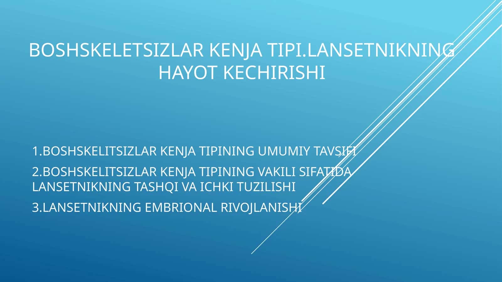 Boshskeletsizlarkenjatipi.lansetnikninghayotkechirishi 1