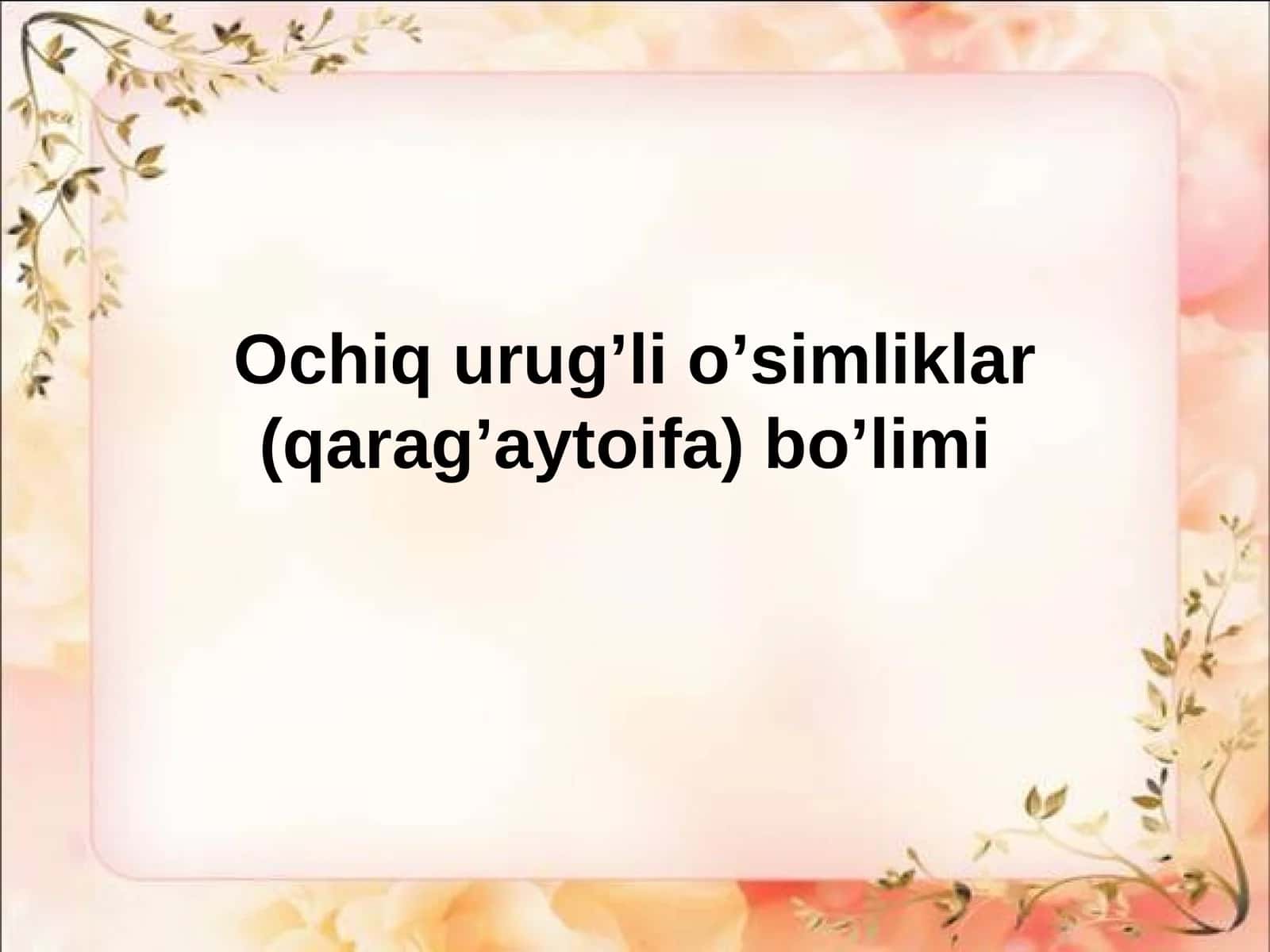 Ochiq urug’li o’simliklar (qarag’aytoifa) bo’limi 1