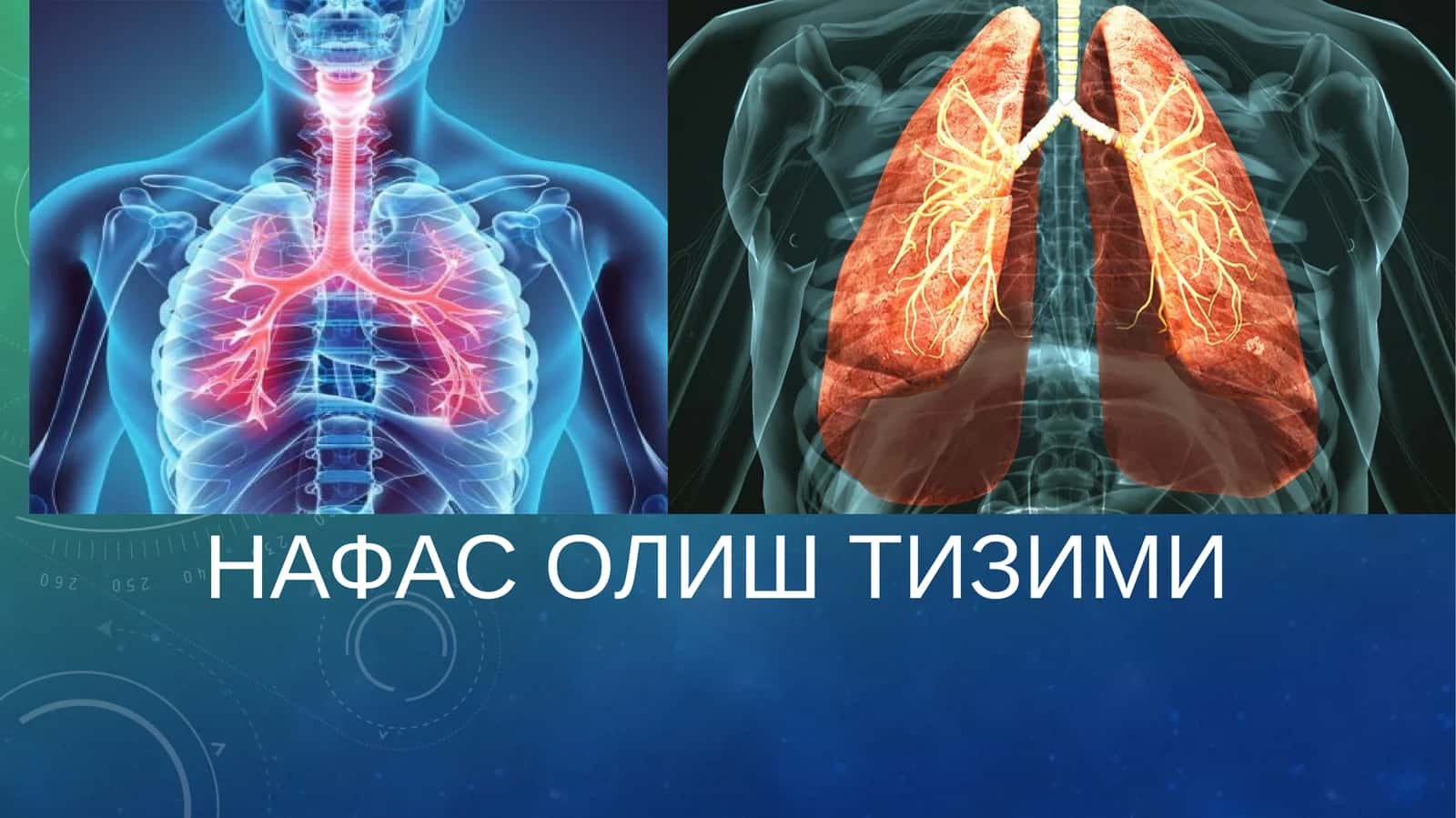 НАФАС ОЛИШ ТИЗИМИ 1