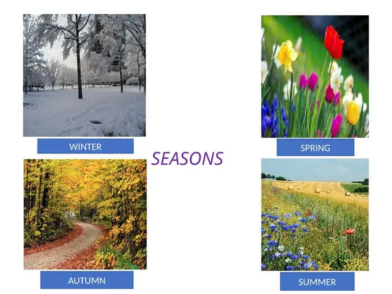 SEASONS 1