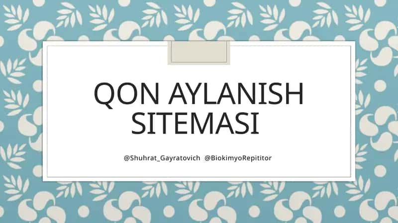Qon aylanish sitemasi 1