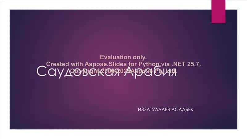 Саудовская Аравия 1