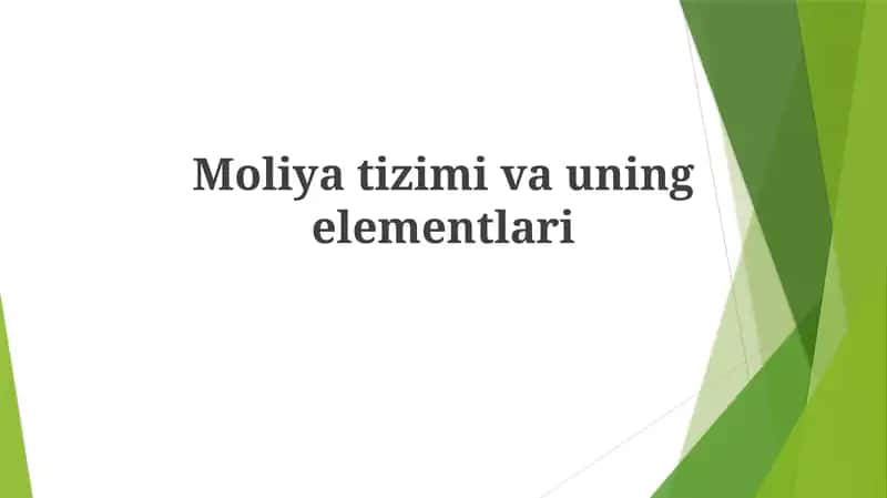 Moliyatizimivauningelementlari 1