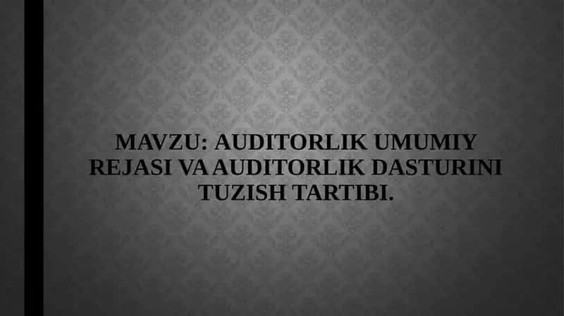 Auditorlik umumiy rejasi va auditorlik dasturini tuzish tartibi 1