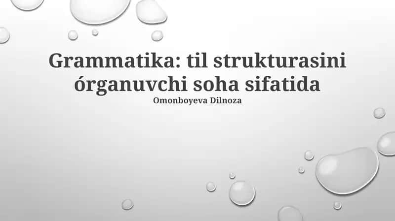 Grammatika: til strukturasini órganuvchi soha sifatida 1