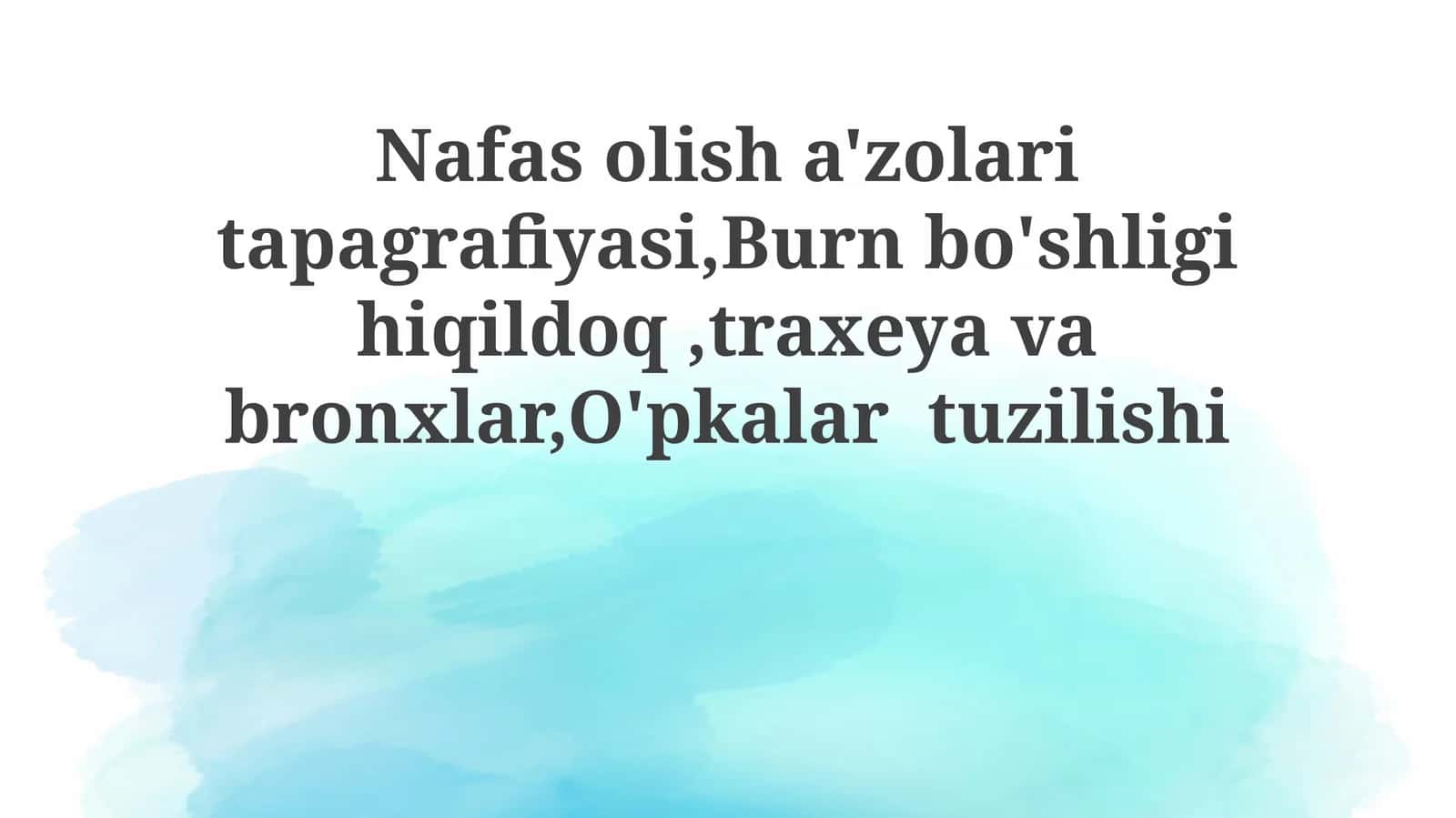 Nafas olish organlarining topografiyasi 1