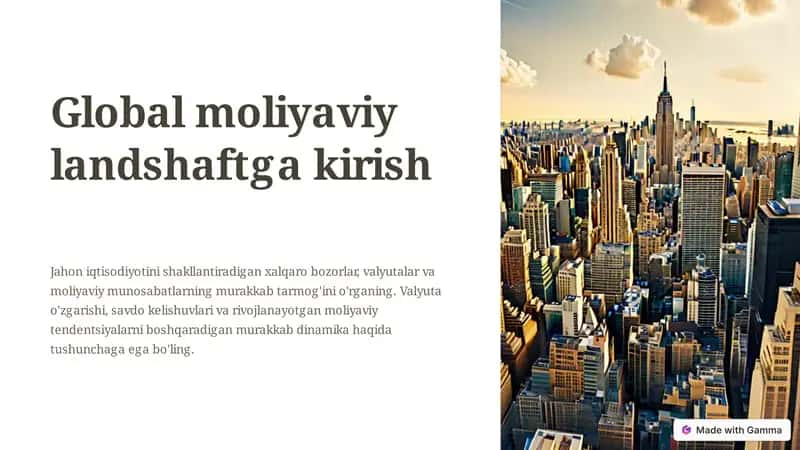 Global moliyaviy landshaftga kirish 1