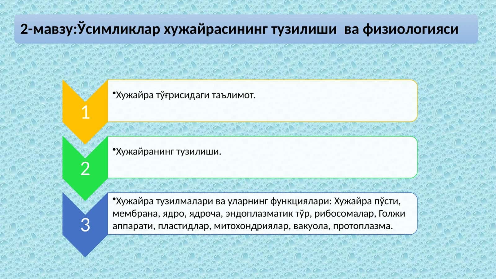 Ҳужайранинг тузилиши 1